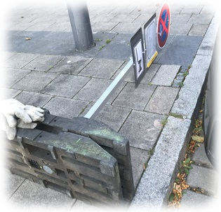 Montierte Schildersicherung bei einem Halteverbotsschild